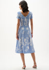 Joseph Ribkoff Floral Striped Fit and Flare Dress, Blue