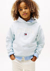 Tommy Hilfiger Boys Varsity Long Sleeve Hoodie, Blue