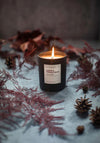 CIDER TONKA BEAN CANDLE