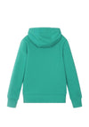 Levi’s Boys Batwing Logo Pull Over Hoodie, Porcelain Green