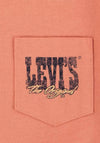 Levi’s Boys Canyon Landscape Tee, Tawny Orange