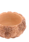 Light & Living Deco Coral Reef Box, Light Brown