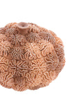Light & Living Deco Coral Reef Box, Light Brown