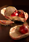 Light & Living Kalako Shell Dish, Cream Multi