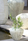 Light & Living Cacti Ceramic Decorative Vase, Mint Green