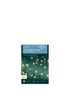 Kaemingk 12m Twinkling String Lights