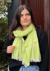 McNutt of Donegal Marino Cashmere Paris Scarf, Lime