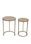 ARLO NESTED TABLES TAN SET2