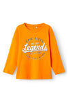 Name It Mini Boy Vagno Long Sleeve Top, Russet Orange
