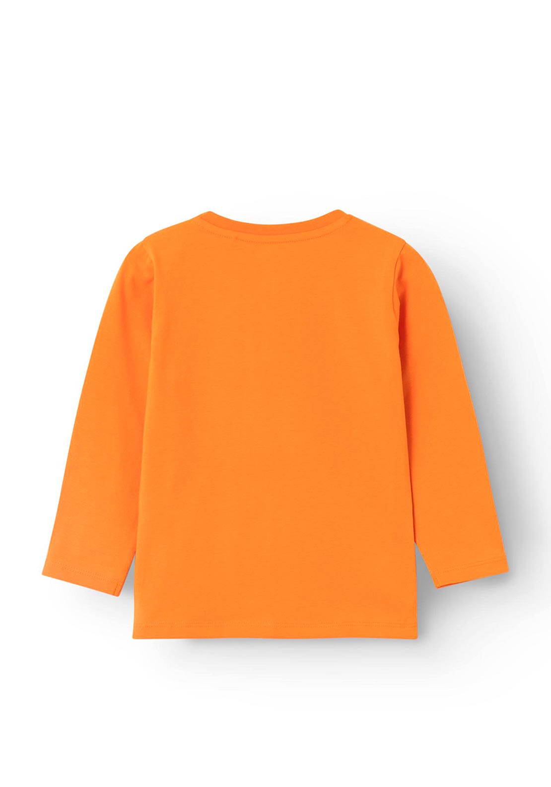 Name It Mini Boy Sakana Long Sleeve Top, Russet Orange