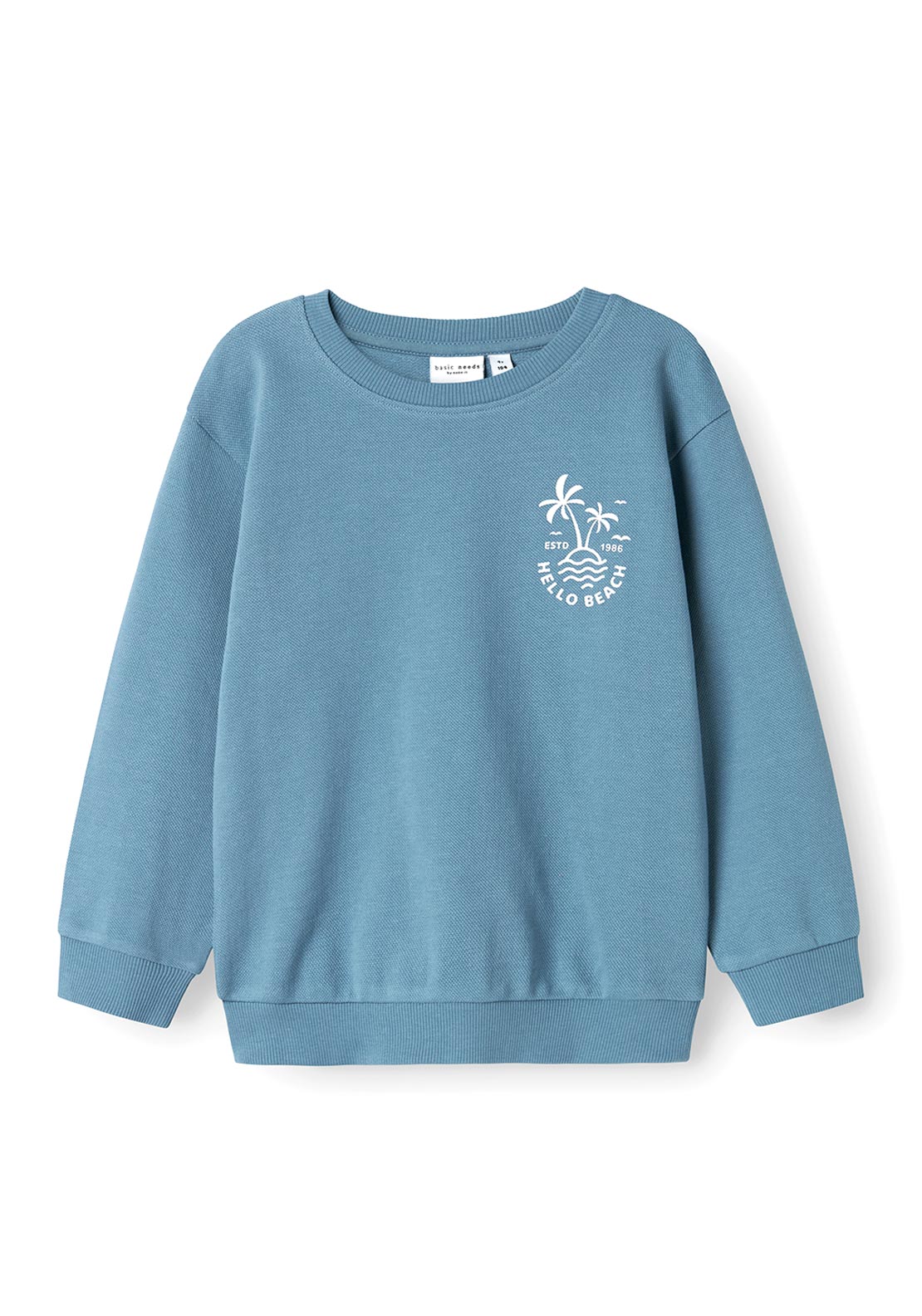 Name It Mini Boy Vasse Long Sleeve Sweater, Spring Lake