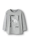 Name It Mini Boy Bryso Long Sleeve Dino Top, Grey