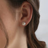 Newbridge Pearl & CZ Earrings, Silver