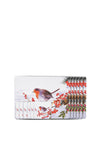Newgrange Living Christmas Robin Placemats & Coasters, 6 Piece Setting