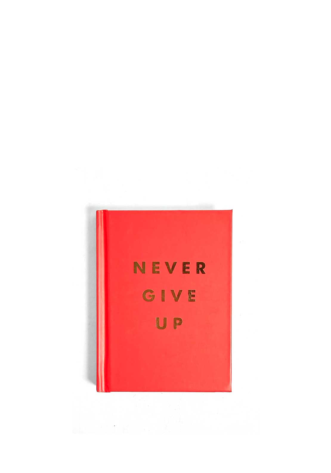 Never Give Up, By Summersdale Publishers