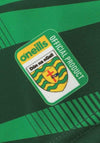 O’Neills Donegal GAA Adult Player Fit Training Top, Green