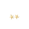 Pilgrim André Starfish Earrings, Gold