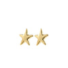 Pilgrim Force Starfish Earrings, Gold
