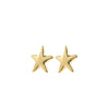 Pilgrim Force Starfish Earrings, Gold