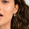 FREE earrings silverplated
