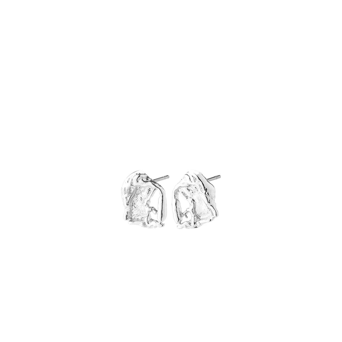 Pilgrim Orien Earrings, Silver