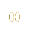 Pilgrim Presence Hoop Earrings, Gold