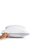 TEFLON ZIPPED PILLOW PROTECTOR SKS PAIR