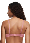 Chantelle Passionata Suzy Mesh Padded Bra, Pink
