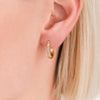 Rosefield Crystal Huggie Earrings, Gold