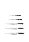 Sabatier Professional 5 Pieces Knife Block Set, 5 Piece