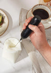 SALTER CHARGEABLE MILK FROTHER