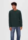 Selected Homme Colin Crew Neck Long Sleeve T-Shirt, Green Gables
