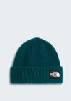 The North Face Salty Lined Beanie, Pacific Teal
