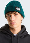 The North Face Salty Lined Beanie, Pacific Teal