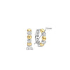 Ti Sento CZ Bubble Huggie Hoops, Silver & Gold