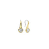Ti Sento CZ Hook Earrings, Gold