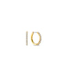 Ti Sento Medium CZ Hoops, Gold