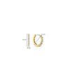 Ti Sento Small CZ Hoops, Gold