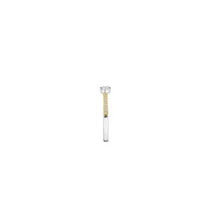 Ti Sento Solitaire CZ Pavé Set Ring, Gold