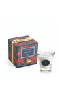 POINSETTIA NOLLAIG SHONA