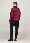 Tommy Hilfiger Core Packable Padded Jacket, Wine