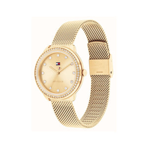 Tommy Hilfiger Ladies Demi Watch, Gold