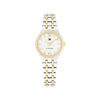 Tommy Hifiger Ladies Mackenzie Sparkle Watch, Gold & Silver