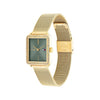 Tommy Hilfiger Ladies Tea Watch, Gold & Sage Green
