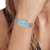Tommy Hilfiger Ladies Tea Watch, Silver & Blue