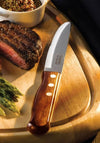 TRAMONTINA JUMBO STEAK KNIFE CHURRASCO