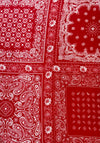 Serafina Collection Paisley Print Neck Scarf, Red