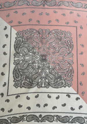 Serafina Collection Paisley Print Neck Scarf, Pink
