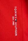 Tommy Hilfiger Boys Essentials Long Sleeve Polo, Fireworks