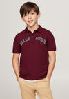 Tommy Hilfiger Boy Monotype Short Sleeve Polo, Deep Rouge